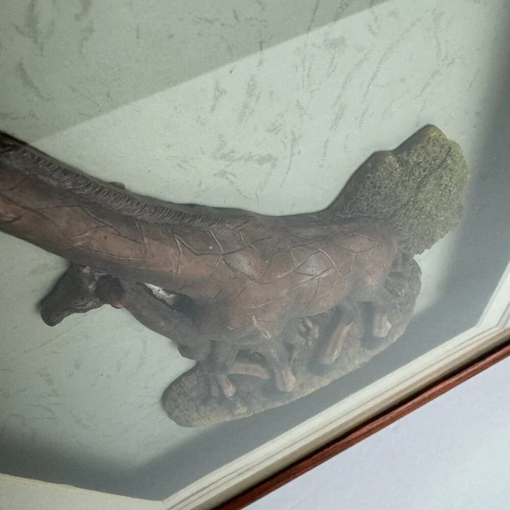 3D Carved Giraffe with Baby in Wooden Shadow Box 12